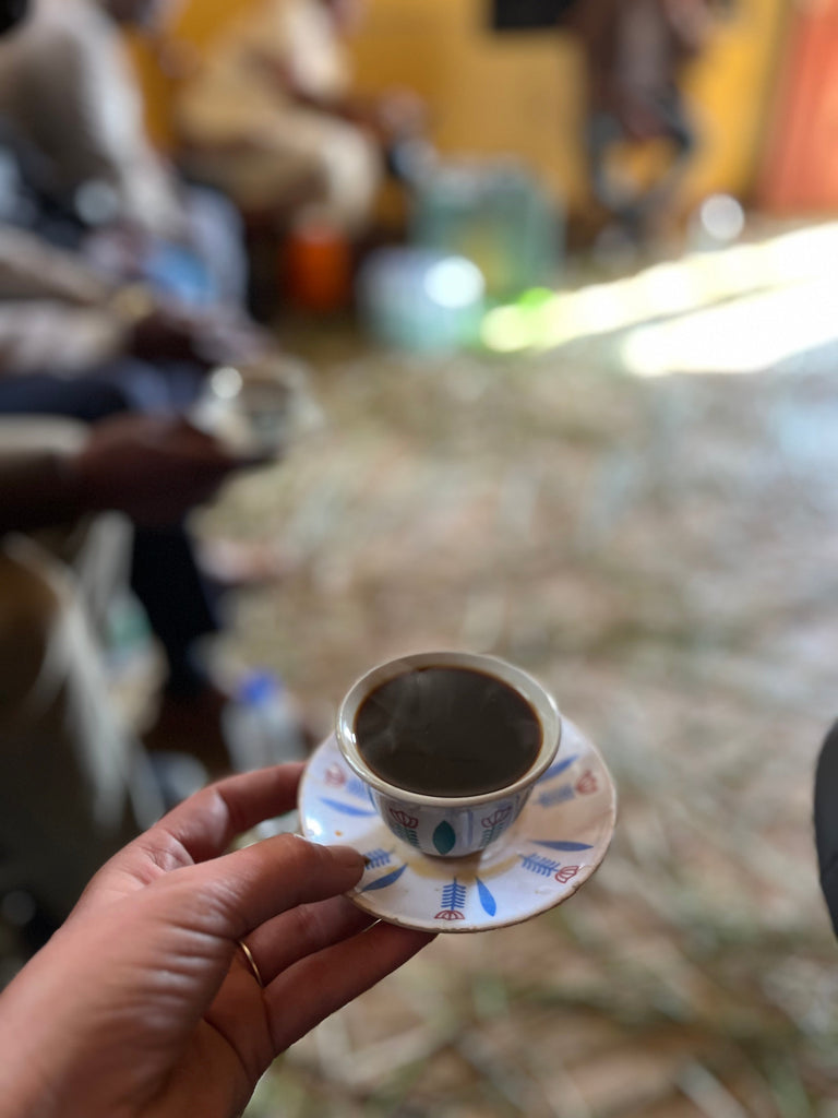 Origin Trip: Ethiopia, Sidama and Oromia regions