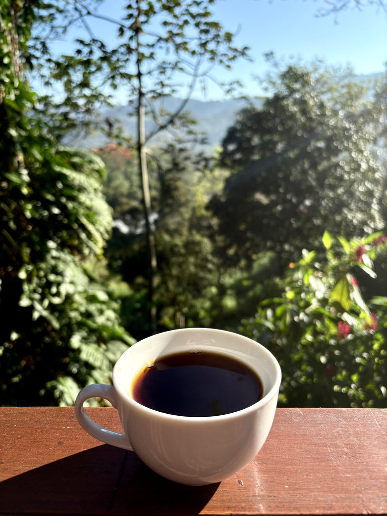 Origin Trip: COMSA Marcala, Honduras - Alix's first origin trip
