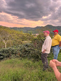 Stonecutter Coffee Series: Oscar Omar Alonzo Honey Process - 10 LBS LEFT!
