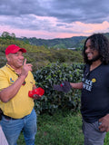 Stonecutter Coffee Series: Oscar Omar Alonzo Honey Process - 10 LBS LEFT!