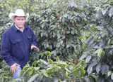 Honduras COMSA
