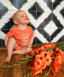 Baby Onesies - NEW COLORS!