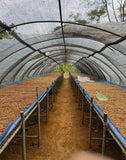 Laos CPC