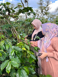 Sumatra Kokowagayo