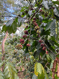 Laos CPC