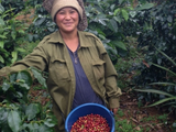 Stonecutter Series: Laos CPC Peaberry - NEW!