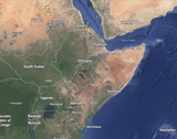 Stonecutter Coffee Series: Ethiopia Guji Natural - NEW!